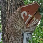 26.04. Podcast. Zatrzymać przeznaczenie