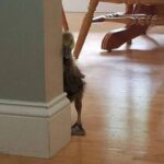 17.10. Podcast. Czy jesteśmy skazani na rusofobię?