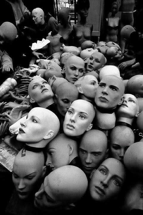 FB_IMG_1736070787797 (1)